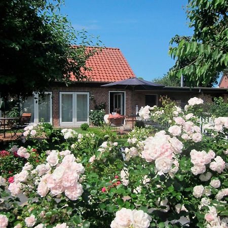 "Rosenkate 1" Apartment Riepsdorf ภายนอก รูปภาพ