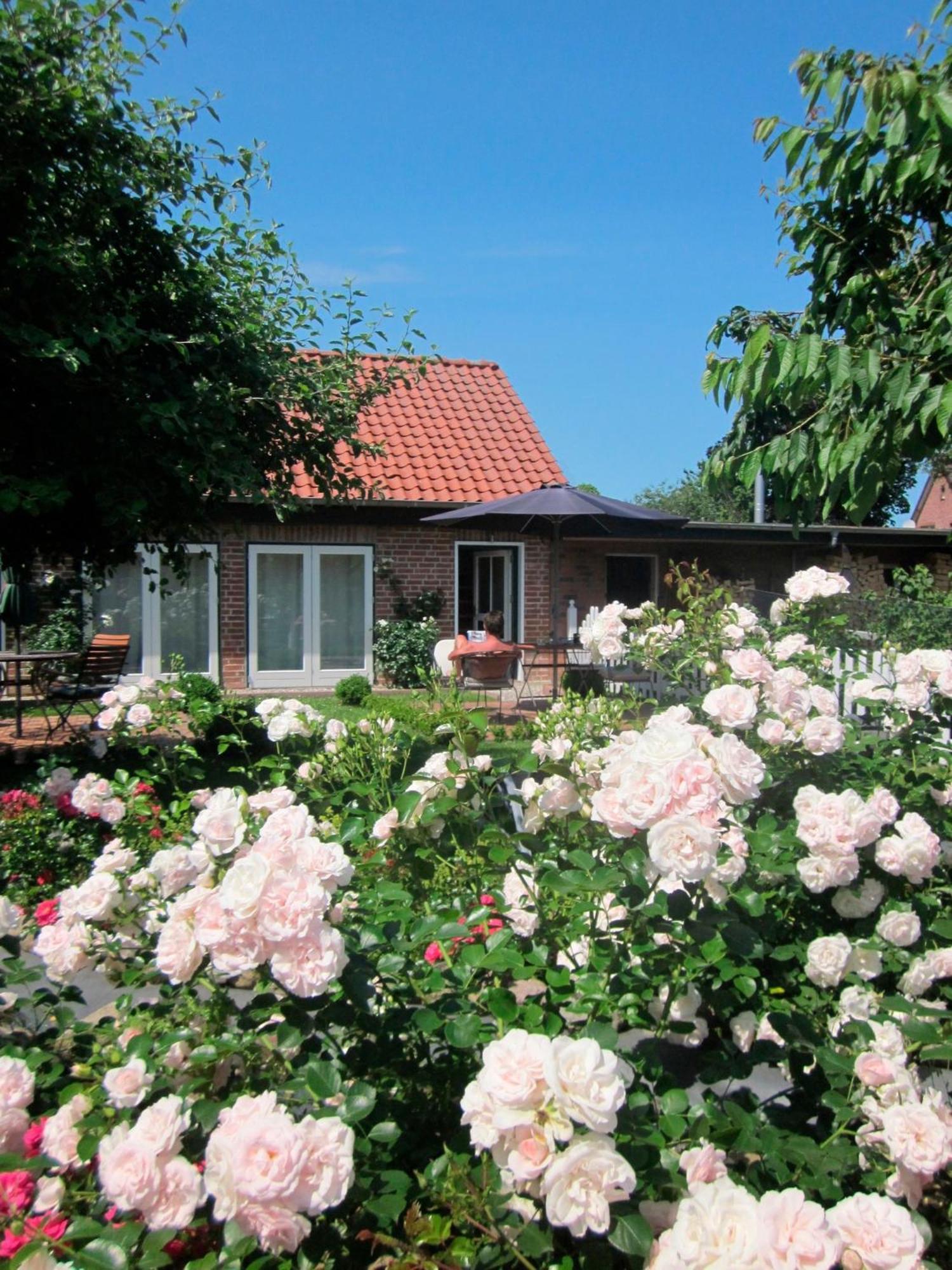 "Rosenkate 1" Apartment Riepsdorf ภายนอก รูปภาพ